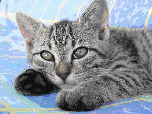 Spokojenost na chaloupce 2